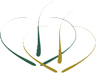 hairlessdreamelectrology